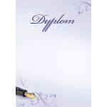 GALERIA PAPIERU Dyplom Classic A4 170 g/m2 25 szt.