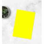EMERSON Trophee Papier ksero Słoneczny 1029 A4 160g/m2 250 ark.