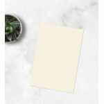 EMERSON Trophee Papier ksero Piaskowy 1101 A4 160g/m2 250 ark.
