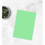EMERSON Trophee Papier ksero Zieleń naturalna 1120 A4 160g/m2 250 ark.