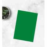 EMERSON Trophee Papier ksero Zieleń choinkowa 1783 A4 80g/m2 500 ark.