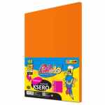 PASTELLO Papier kolorowy ksero A4 pomarańczowy 100 arkuszy