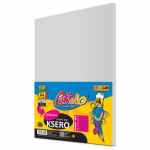 PASTELLO Papier kolorowy ksero A4 szary 100 arkuszy