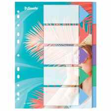 ESSELTE Colour’Breeze Przekładki A4 PP z indeksami (5 przekładek)