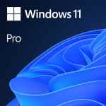 Microsoft OEM Windows 11 Pro PL x64 DVD