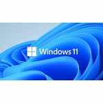 Microsoft OEM Windows 11 Pro for Workstations PL x64 HZV-00117