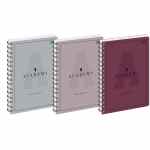 INTERDRUK Academy Kołozeszyt w kratkę A4 100 kartek