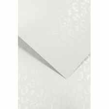 GALERIA PAPIERU Karton Małe róże A4 220g biały 20 arkuszy