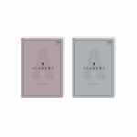 INTERDRUK Academy Brulion w linię A4 z marginesem 96 kartek