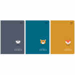 BEBE Friends Boys Zeszyt A5 w kolorową trzylinię 16 kartek