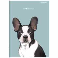 TOP-2000 Sweet Animal Zeszyt w kratkę A6 16 kartek