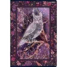 TOP-2000 Fairytale Zeszyt w kratkę A5 z marginesem 32 kartki