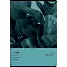 TOP-2000 Botany Zeszyt w kratkę A5 z marginesem 60 kartek