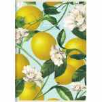 TOP-2000 Summer Harvest Club Zeszyt w kratkę A5 z marginesem 60 kartek