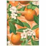 TOP-2000 Summer Harvest Club Zeszyt w kratkę A4 z marginesem 60 kartek