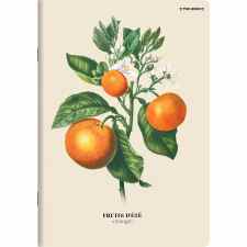 TOP-2000 Summer Harvest Club Zeszyt w linię A5 z marginesem 60 kartek