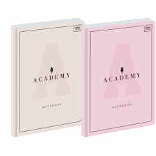 INTERDRUK Academy pastel Brulion w kratkę A4 z marginesem 96 kartek