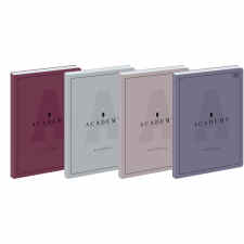 INTERDRUK Academy Brulion w kratkę B5 z marginesem 128 kartek