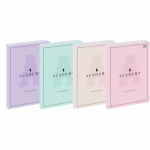 INTERDRUK Academy pastel Brulion w kratkę B5 z marginesem 128 kartek