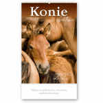 LUCRUM Konie w obiektywie Kalendarz reklamowy na rok 2025